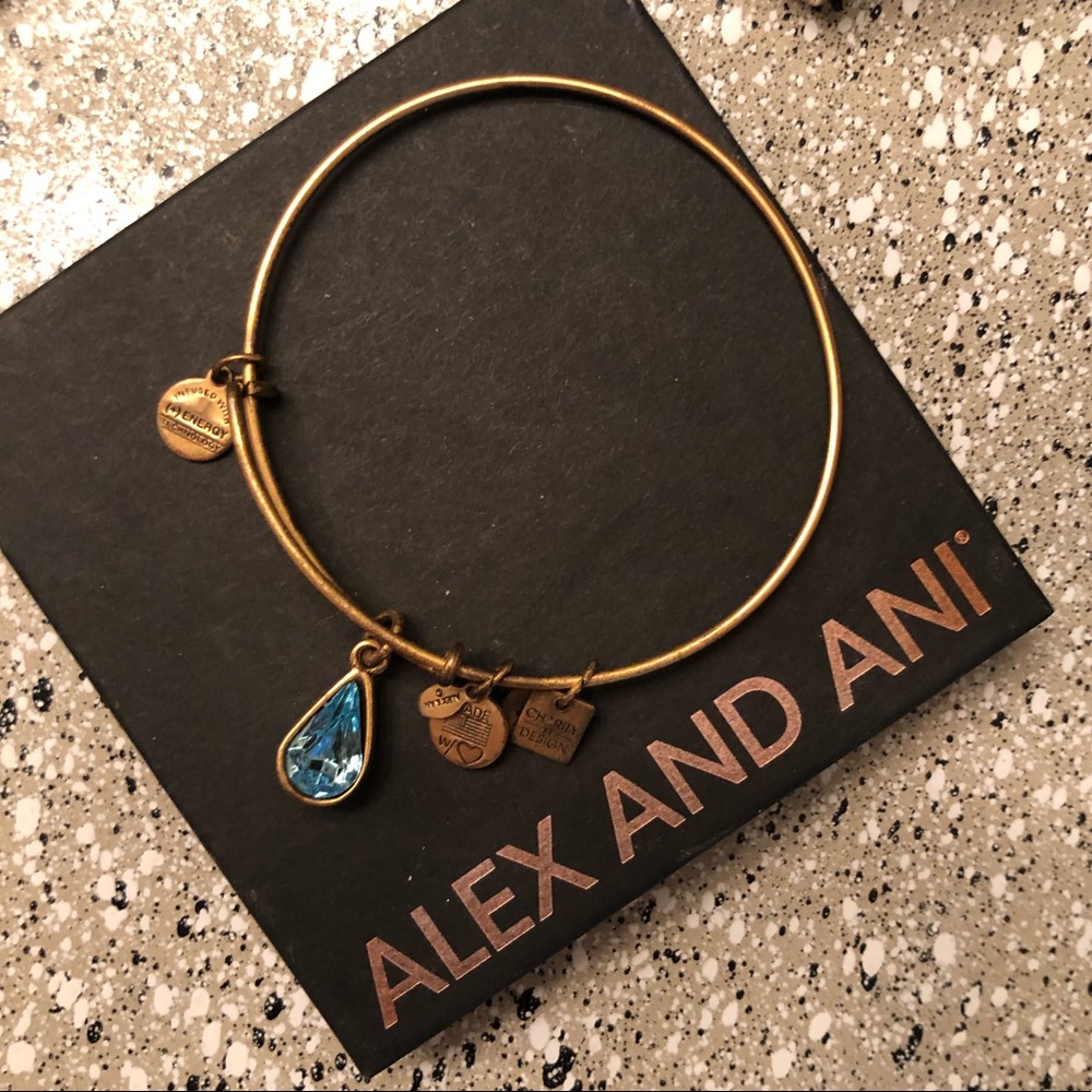 Alex and Ani Charity Bracelet Water foundation